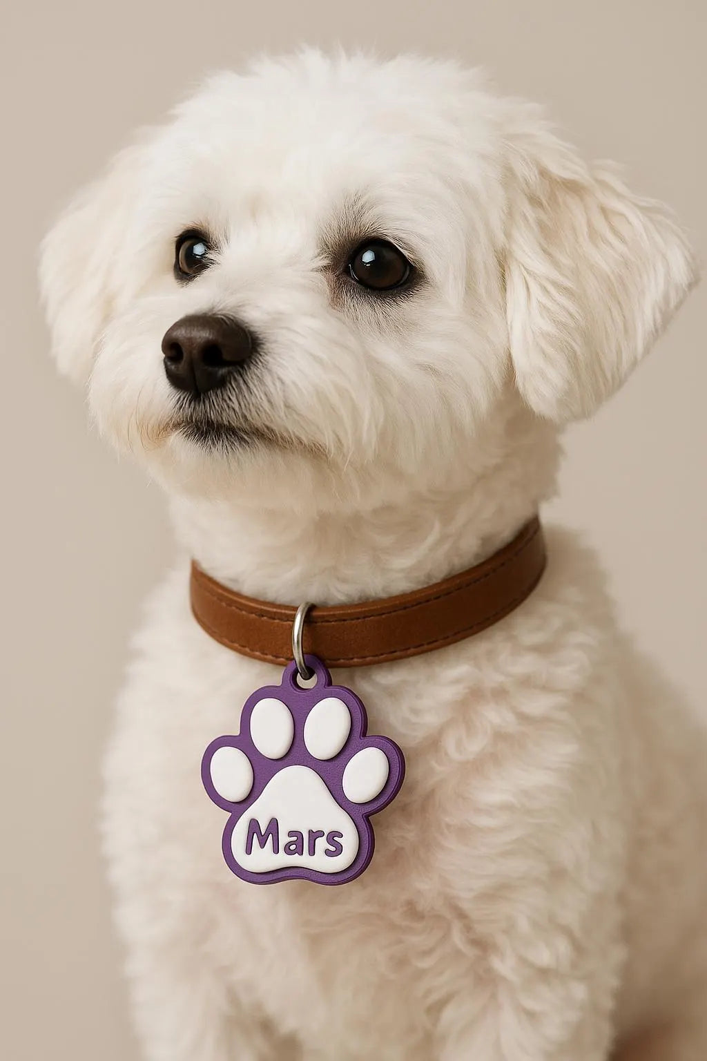 NFC Pet ID Tag Keyring